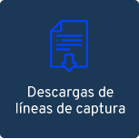 n1contabilidad-lineas-captura